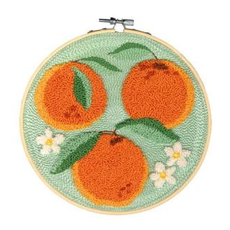 Sinaasappel 17,8cm Punchpakket van Restyle 095.2012