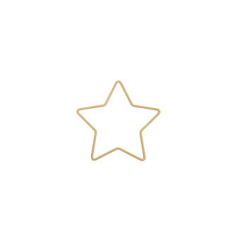 Metalen ster frame 11x10.5cm goud RICO 38006.60.13