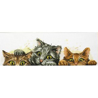 voorbedrukt borduur pakketen CURIOUS KITTENS nw-nc250-003