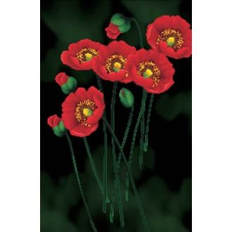 VOORBEDRUKT BORDUURPAKKET RED POPPIES ON BLACK van Stitchcompanty nw-nc650-011