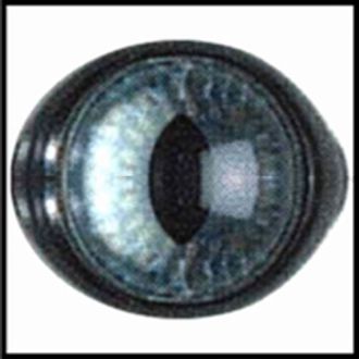 Veiligheidsoogjes kat Blauw LE SUH 48211