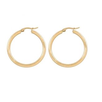  Oorringen Stainless Steel (35 mm) Goud van DB Y2025