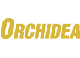 orchidea