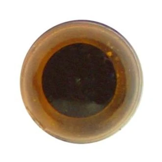 Veiligheidsoogjes 21mm van RESTYLE 082.D103