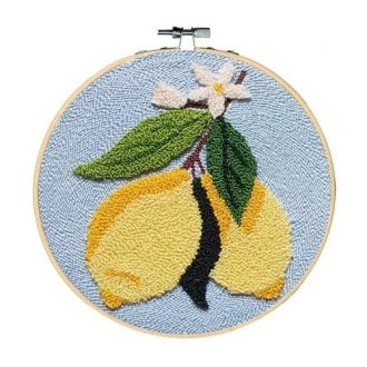 Citroen 17,8cm punchpakket van Restyle 095.2011