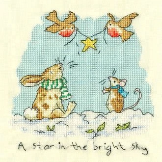 A star in the bright sky borduurpakket STITCHCOMPANY bt-xaj05
