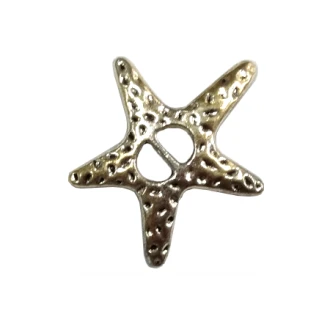 Schuifkraal ster zilverkleurig 38mm