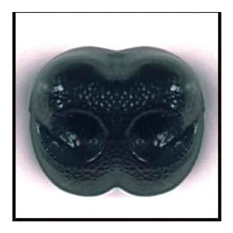 veiligheids neusje Zwart LE SUH 48556