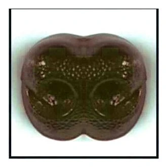 Veiligheids neusje bruin LE SUH 48557