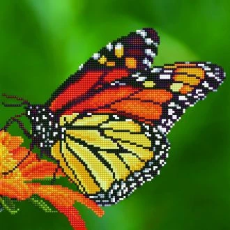 Diamond art Monarch Butterfly van STITCHCOMPANY la-da02-50452