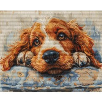 Cocker Spaniel borduurpakket STITCHCOMPANY LS-BU5058