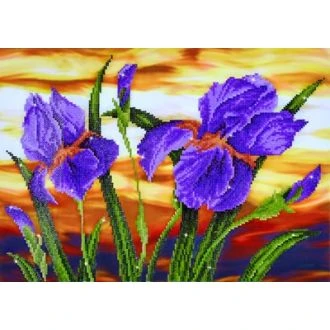 Diamond dotz Iris Sunset van STITCHCOMPANY nw-dd09-016