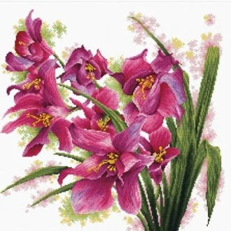 VOORBEDRUKT BORDUURPAKKET LOVELY ORCHIDS van Stitchcompanty nw-nc640-070