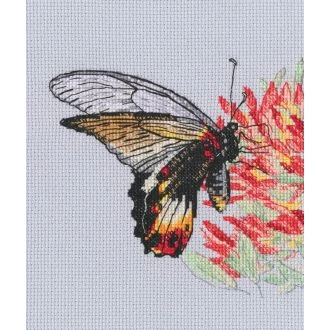 Nectar for Butterfly borduurpakket STITCHCOMPANY rto-m00755