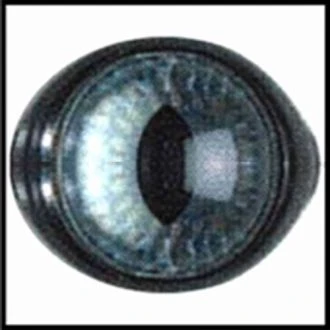 Veiligheidsoogjes kat Blauw LE SUH 48211