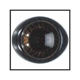 Veiligheidsoogjes beer bruin LE SUH 48213