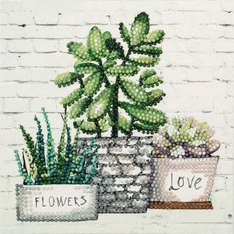 DIAMOND PAINTING CARDBOARD - SUCCULENTS van STITCHCOMPANY fc-albp-253