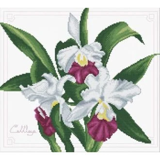Orchidëen kruissteek borduurpakket 33x29cm van STITCHCOMPANY nw-nc340-009 