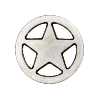 Ster knoop metaal van UNION KNOPF 451676